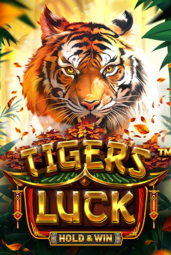 Tiger's Luck - Hold & Win бесплатная демо игра онлайн казино | Покер Дом